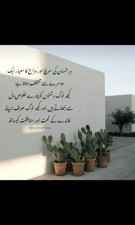 ہمیں کیا ہم تو اپنے عمل کے لہے جوابدہ ہیں دوسروں سے امیدیں وابستہ کرنے کا فائدہ نہیں حقیقی خالق مددگار اور کار ساز تو صرف اللہ پاک کی ذات ہے۔☝❤❤❤