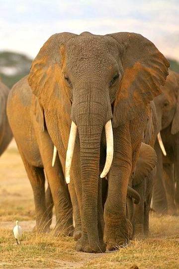 Photography 💕💕