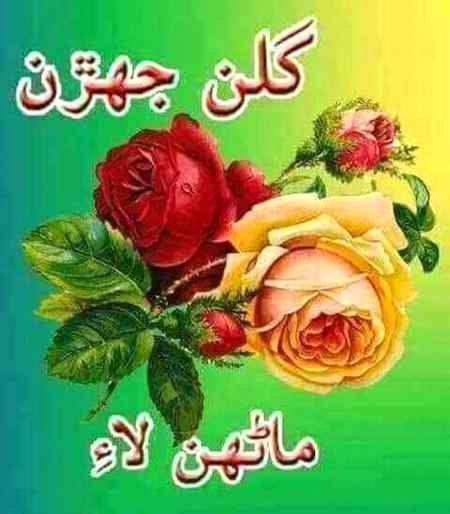 ShaL QuBooL Ho DosToN Ko