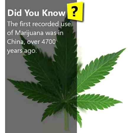 Did you known?