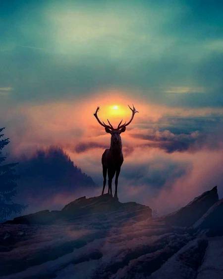Amazing pic 🔥 cloudy editing