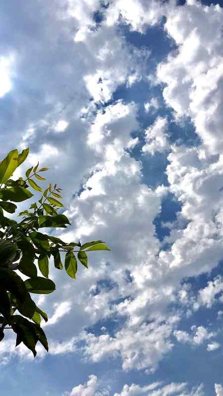 Today weather is beautiful.