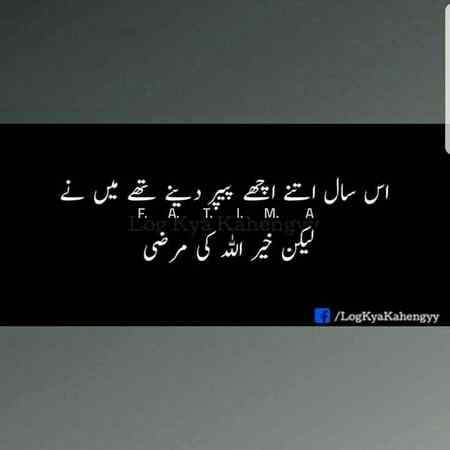 hlo friends