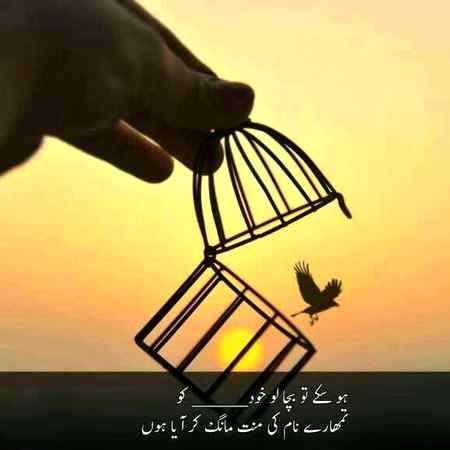 Asslam-o-Alikum everyone