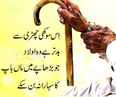 Sending by fareed ahmed shaikh