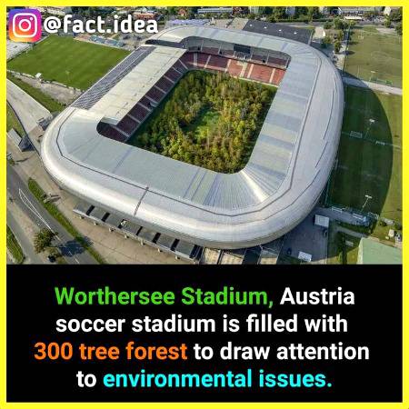DID YOU KNOW??