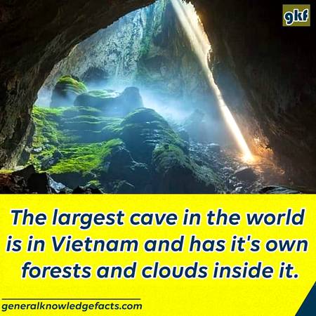 Did you know?