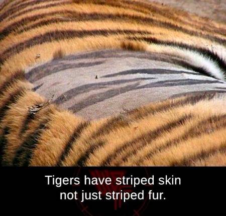 DID YOU KNOW??