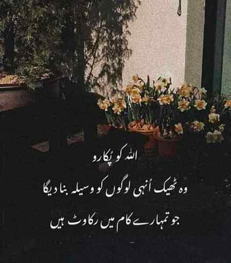 Right 🥀🥀...beshak 💯💯🥀🥀