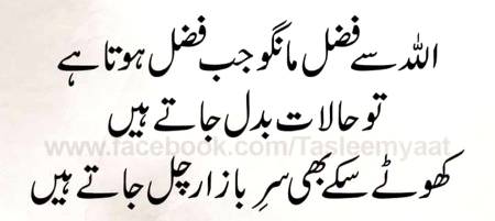 🌹🌹🌹صلی اللہ علی حبیبہ محمد نور من نوراللہ وعلی آلہ واہل بیتہ وعترتہ وازواجہ وصحبہ وجدہ وذریتہ و کل امتہ وبارک وسلم کثیراً کثیرا و دائماً ابدا 🌹🌹🌹