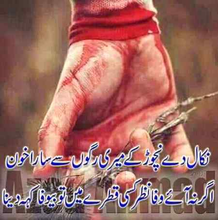 Hlo friends
