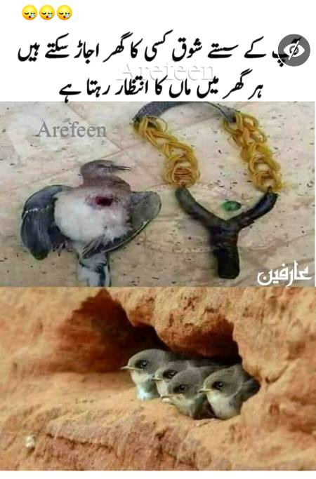 Zara sochye aur ahsas ki jye....