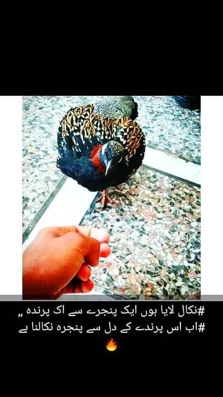 Hello friend