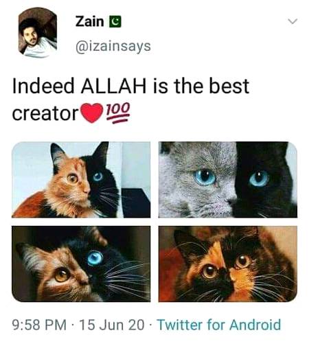 How the things be so astonishing .INDEED ALLAH IS THE BEST CREATOR😍😍😍❤❤💕💕
