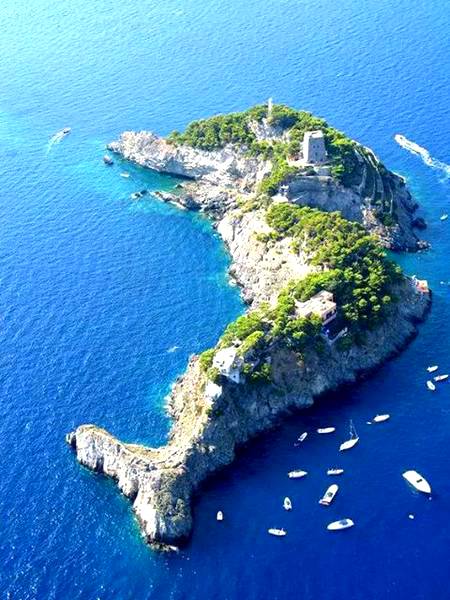 Stunning fish shaped island 🐋