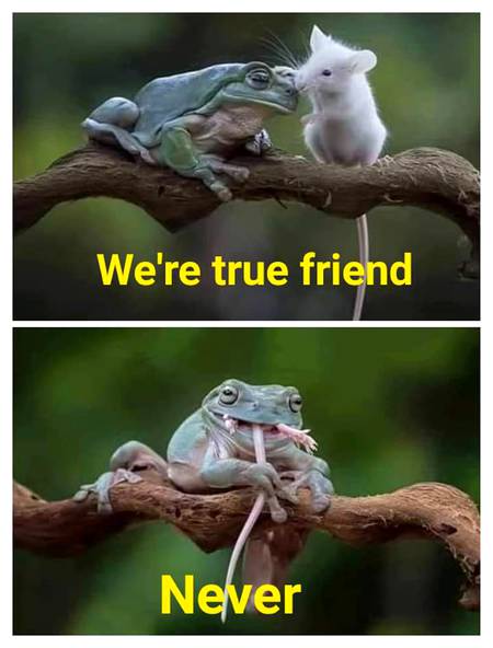 Reality 😐😑😔