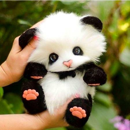 Cutie pie!☺️🌹