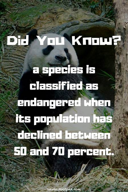 Did you know?