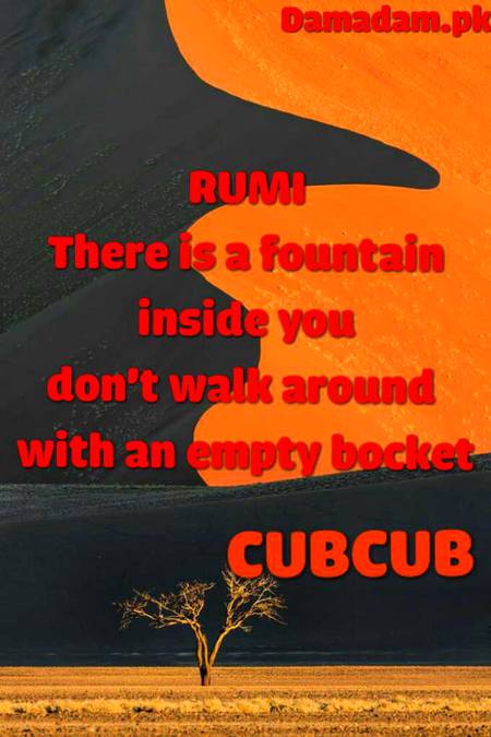 RUMI'S WORDS