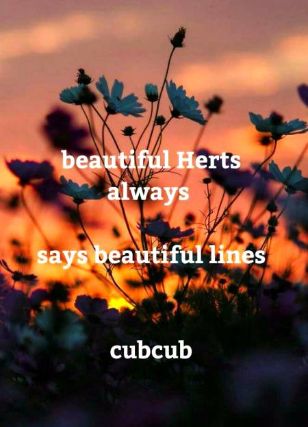 Beautiful hearts