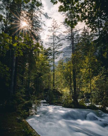 Nature ...❤