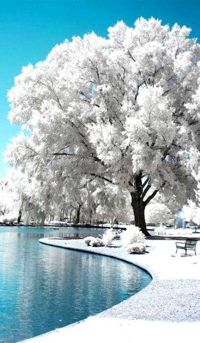White wonderland😍👌🔥