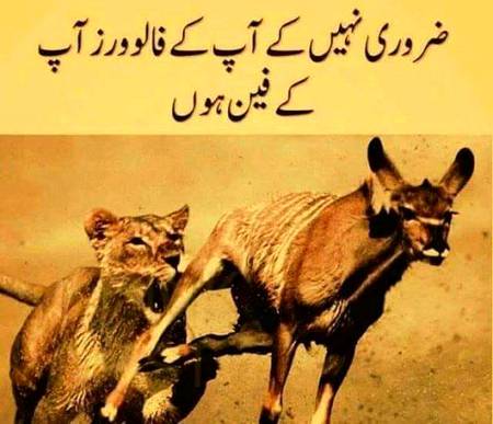 ضروری نھیں کے سب فین ھونگے کچھ ایسے بھی ھوتے ھیں