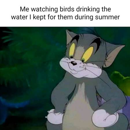 Satisfying....
