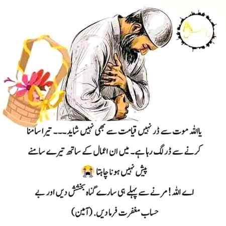 Sending by fareed ahmed shaikh ameen