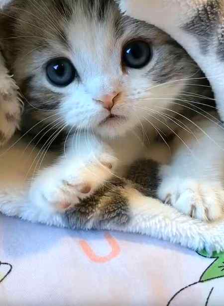 ❤❤❤😍How cute😍❤❤❤