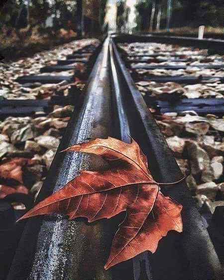 پلایا تھا ہمیں امرت کسی نے 
مگر منہ سے لہو کے جھاگ نکلی