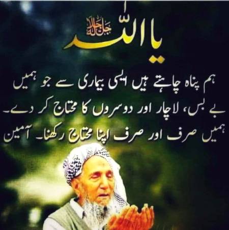 🌹🌹🌹صلی اللہ علی حبیبہ محمد نور من نوراللہ وعلی آلہ واہل بیتہ وعترتہ وازواجہ وصحبہ وجدہ وذریتہ و کل امتہ وبارک وسلم کثیراً کثیرا و دائماً ابدا 🌹🌹🌹