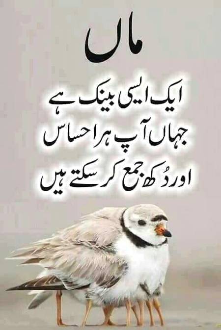 ⁦(◕ᴗ◕✿)⁩⁦(◕ᴗ◕✿)⁩⁦(ʘᴗʘ✿)⁩⁦(✷‿✷)⁩