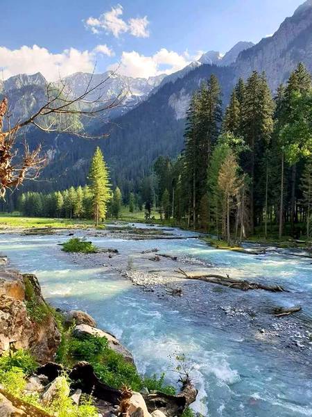 Beautiful Nature image