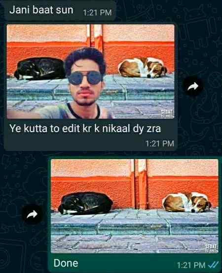 Her ek Friend kameena hota hai