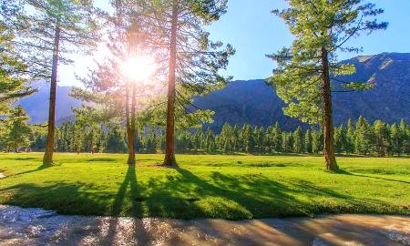 Rama Meadow,little ahead of Rama Village, which is 11 kilometres from Astore,Pakistan