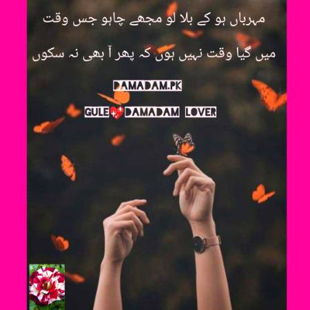 gule💕Damadam Lover🔥