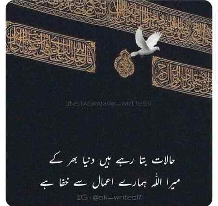 Hlo.friends