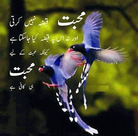 السلام علیکم