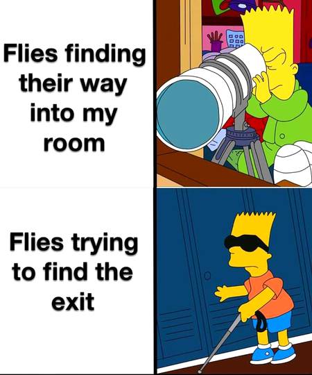 Annoying little shits