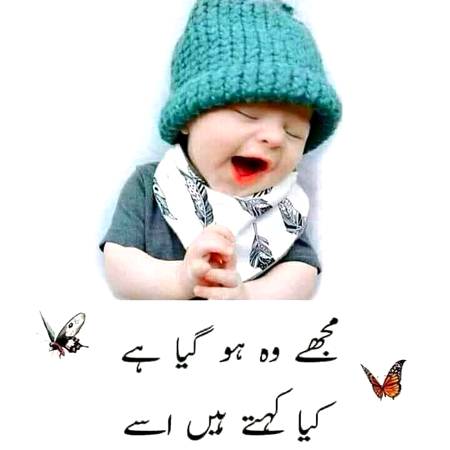 Muja wo ho gy ha