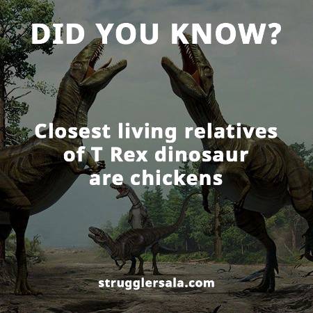 Did you know that