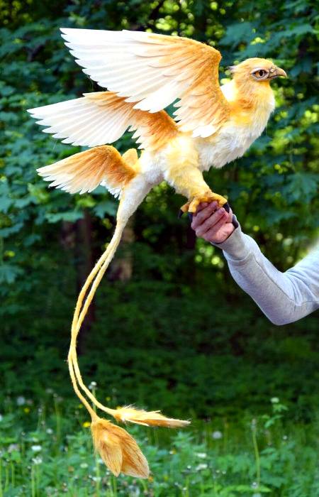 Thunder bird