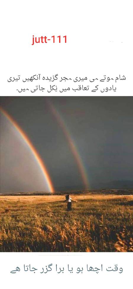 میں وفاء کروں بھی تو کس سے بےوفا ہے زمانہ سارا
