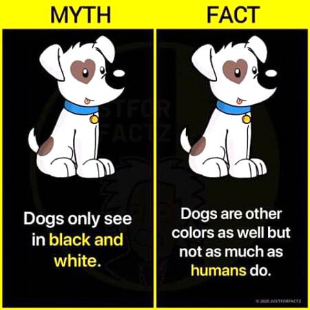 Fact vs myth..