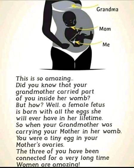 Unbelievable facts