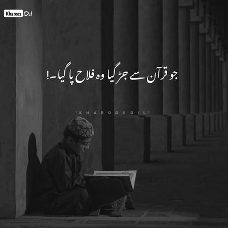 Beshak❤❤....