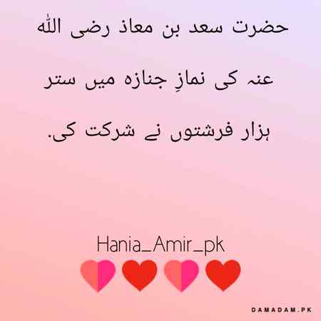 Islamic information 💕💕