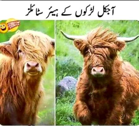 Han g suchii😀