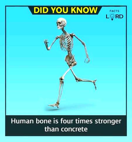 Unbelievable facts 💥💥